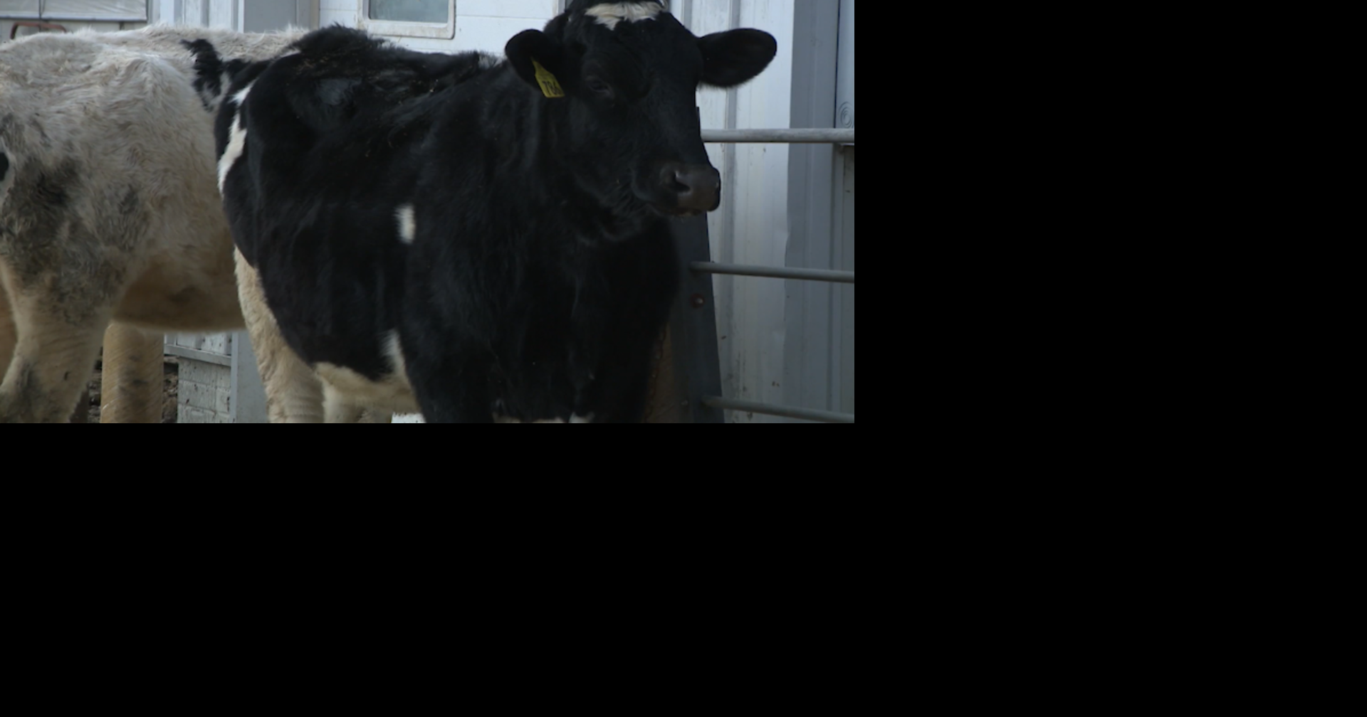 Wisconsin farm bankruptcies surged in 2025