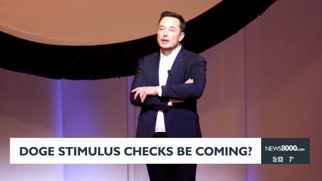 Many are calling for DOGE stimulus checks | Politics | news8000.com