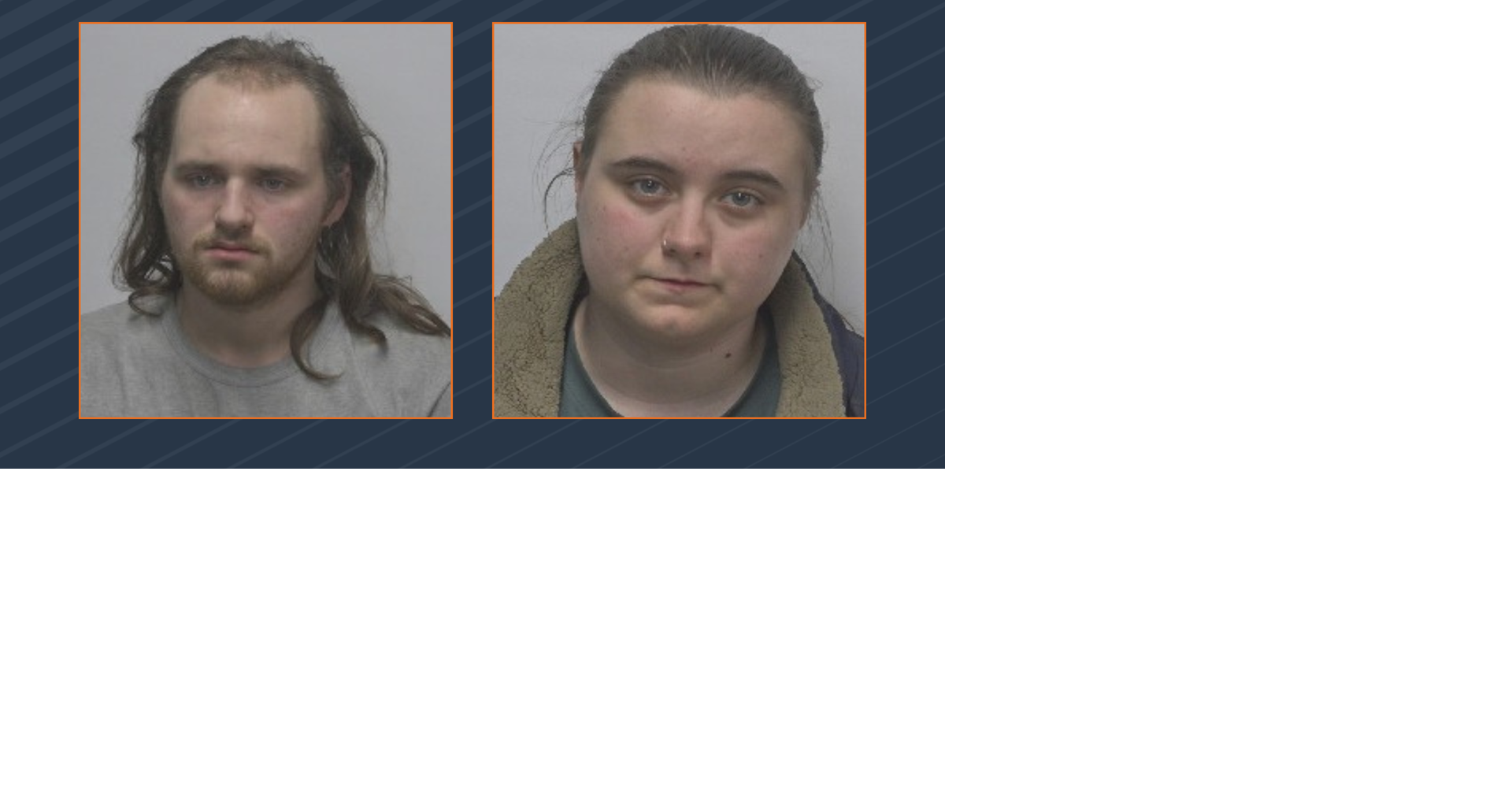 Arrests made in child porn and bestiality case | Crime | news8000.com