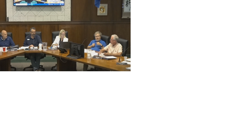 Winona Common Council postpones ordinance banning cannabis use in public spaces - Vimarsana News
