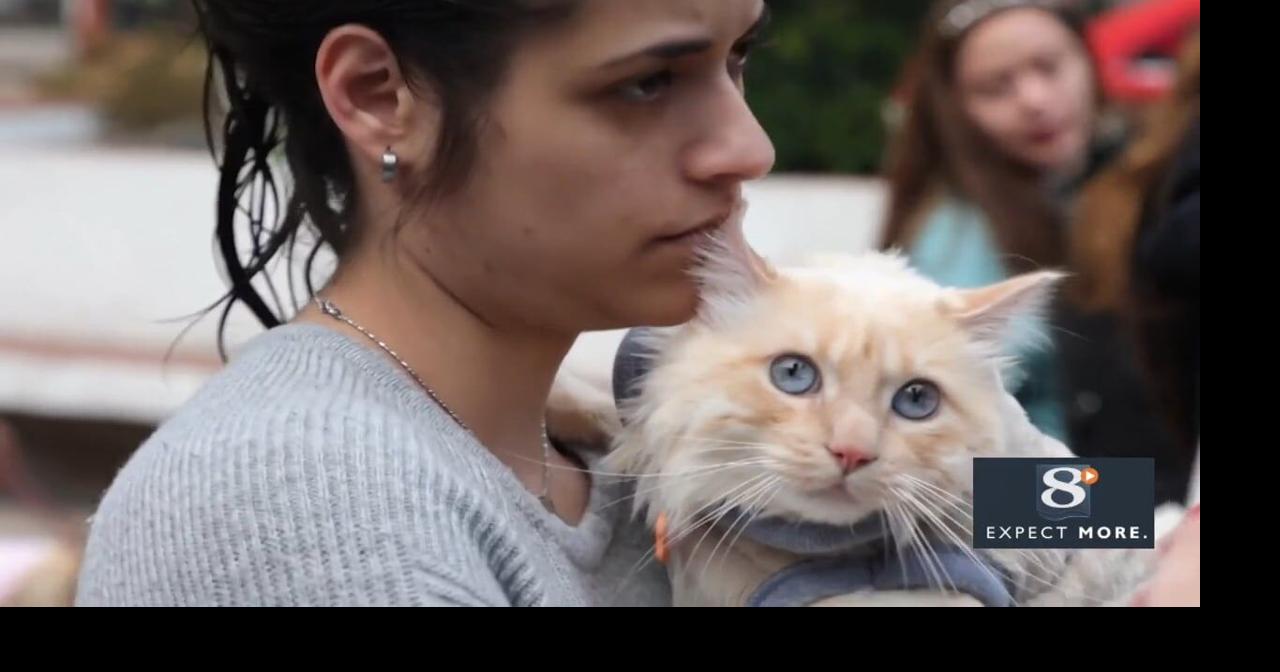 Pets being blessed to honor St. Anthony's Day