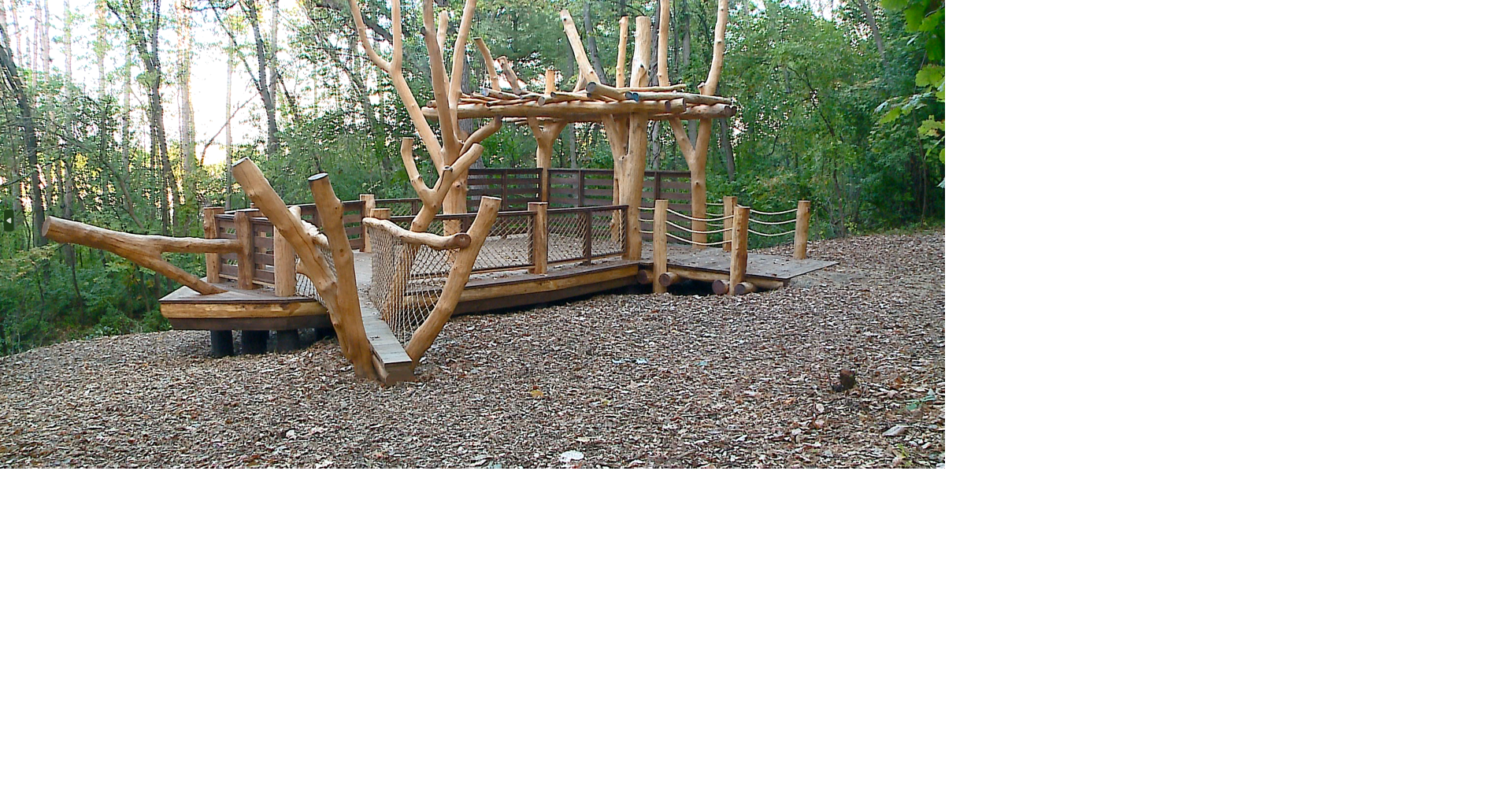 ORA Trails reveals universal treehouse at Chad Erickson Park | Family ...