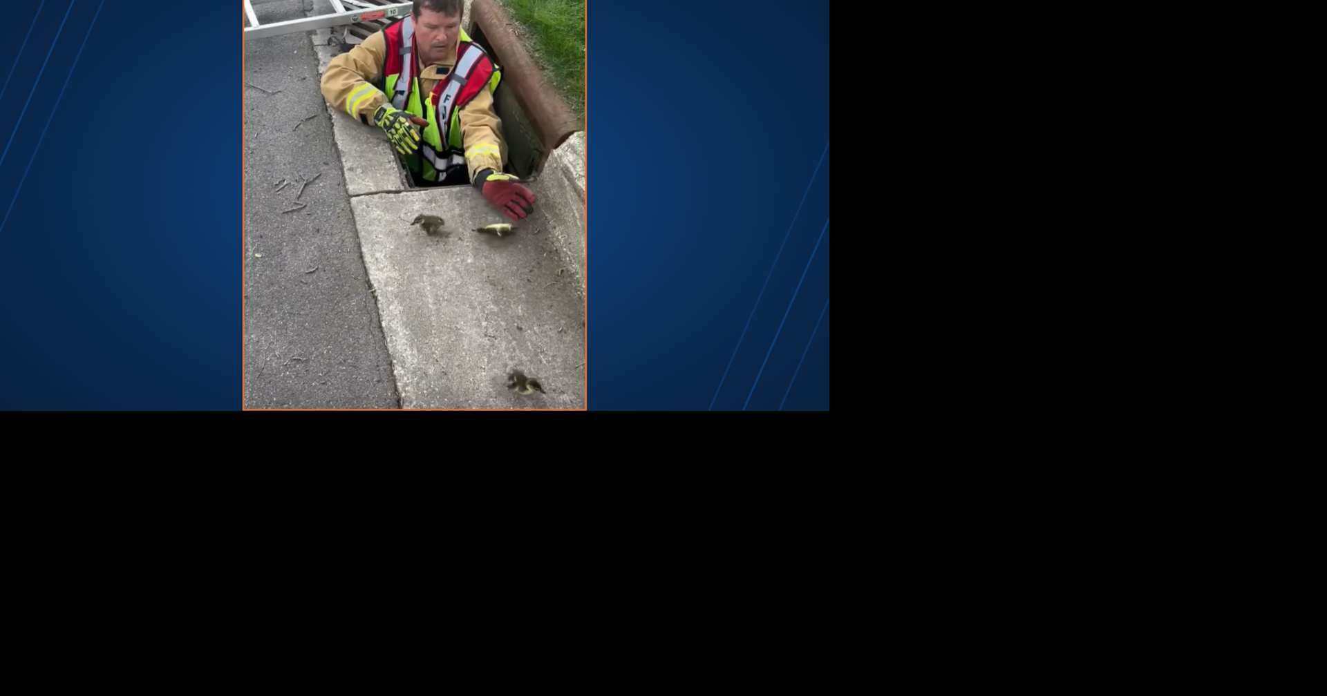 Town of Shelby firefighters rescue ducklings from storm drain Jun 15, 2026 Jun 15, 2026 Updated 4 mins ago