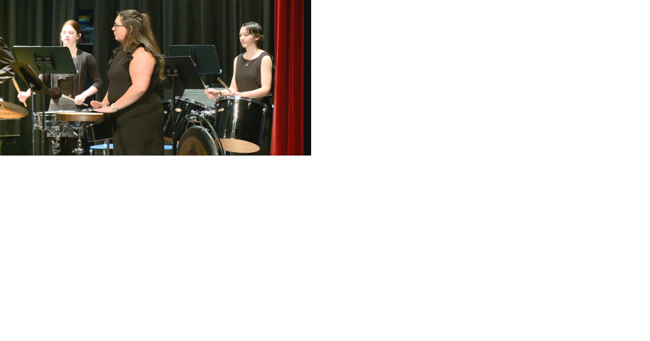 Area high schoolers compete at District Solo and Ensemble Music Festival competition - Vimarsana News