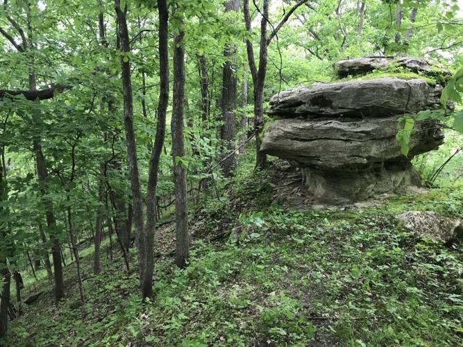 Vernon County Driftless Area lures Chicago couple to settle in, protect