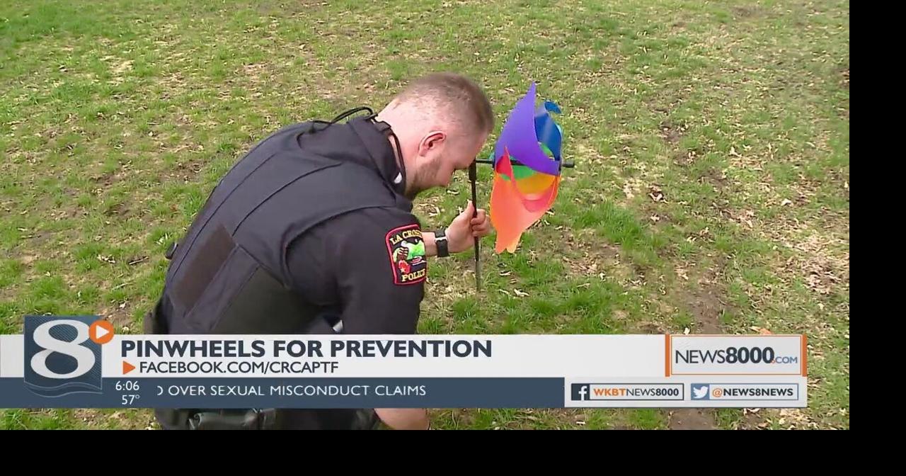 “Pinwheels for Prevention” placed in Burns Park to raise awareness ...