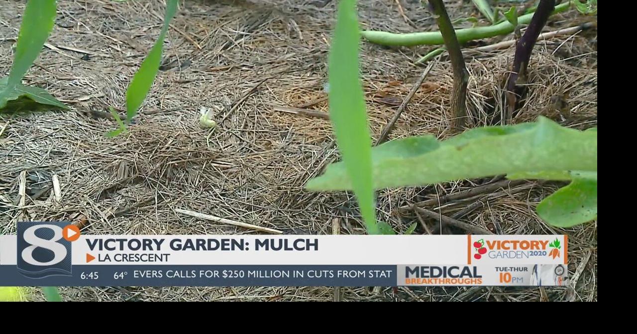 Victory Garden Mulching Holmen
