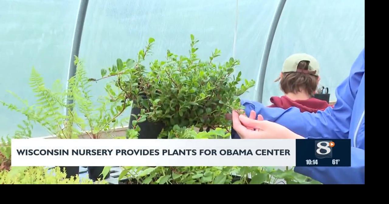 Wisconsin nursery provides plants for Obama center