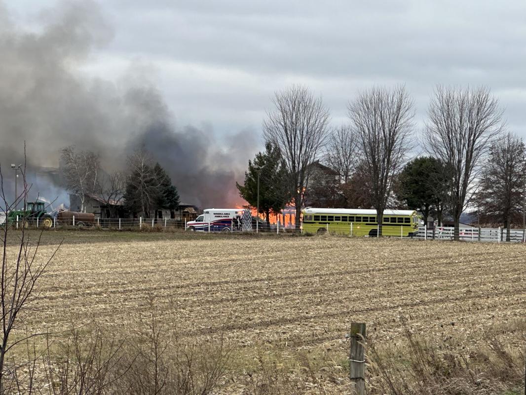UPDATE: Two horses, one cat killed in massive fire at Minnesota ...