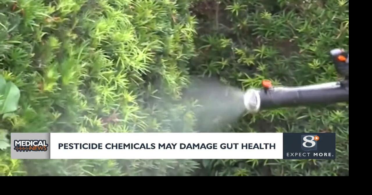 Pesticide chemicals may damage gut health