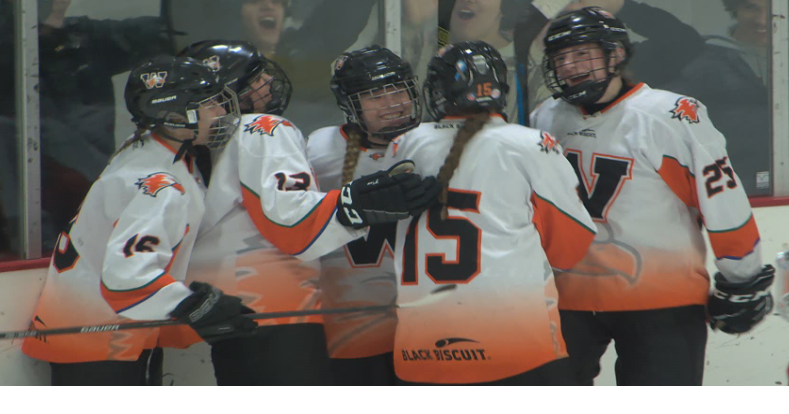 Winona girls hockey co op takes down Austin in home playoff game 4 1