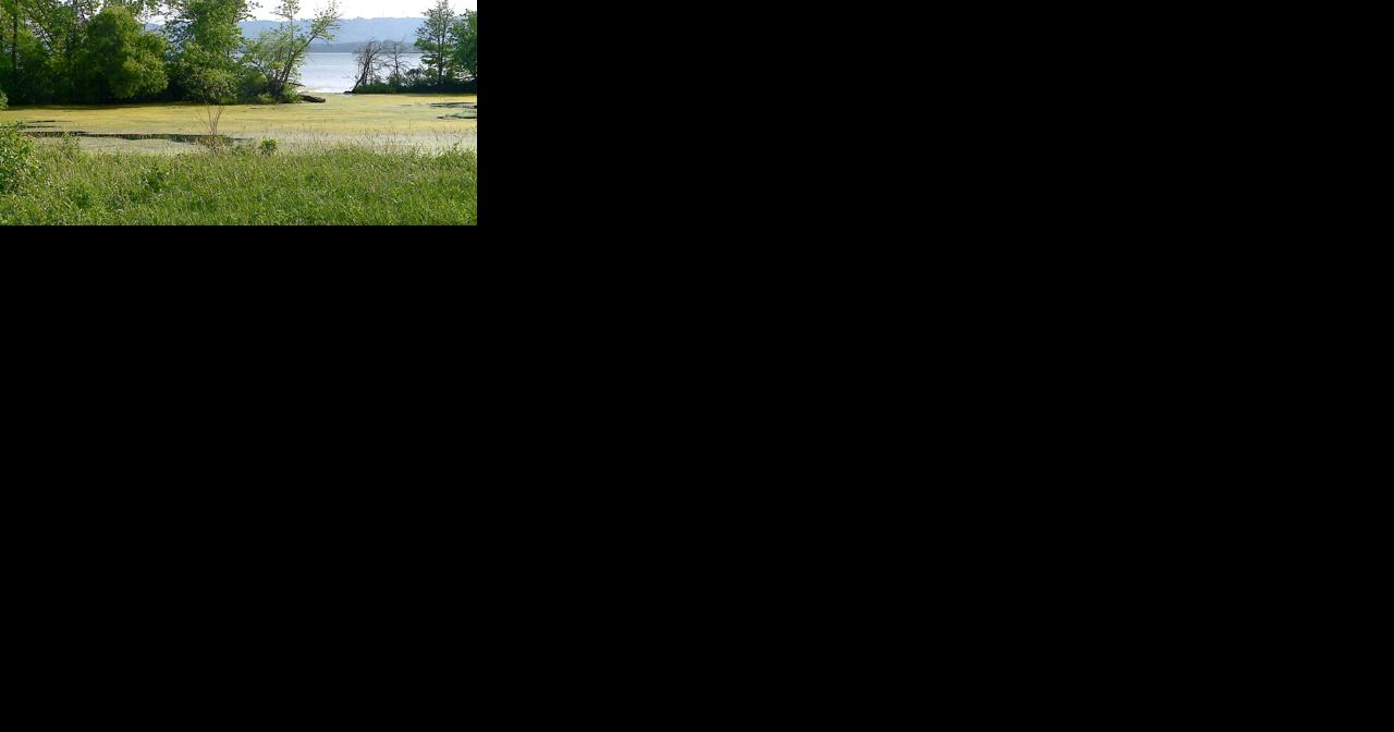 Group working to raise funds to dredge part of Lake Onalaska - Vimarsana News