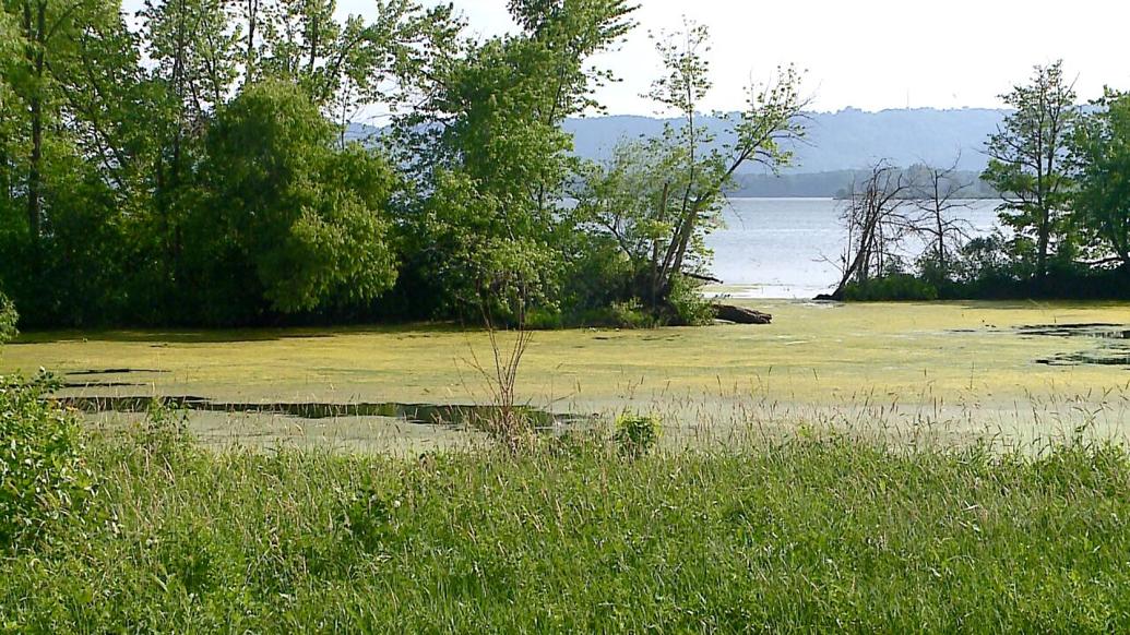 Group working to raise funds to dredge part of Lake Onalaska