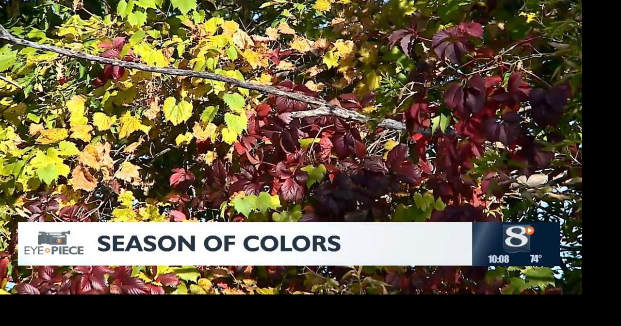 Eye Piece: Season of Colors | News 8 Now Eye Piece | news8000.com