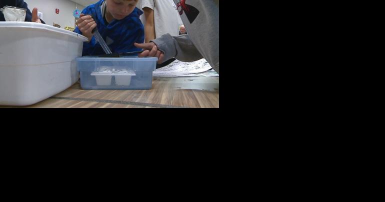 La Crescent-Hokah Elementary hosts second annual Waterfest - Vimarsana News