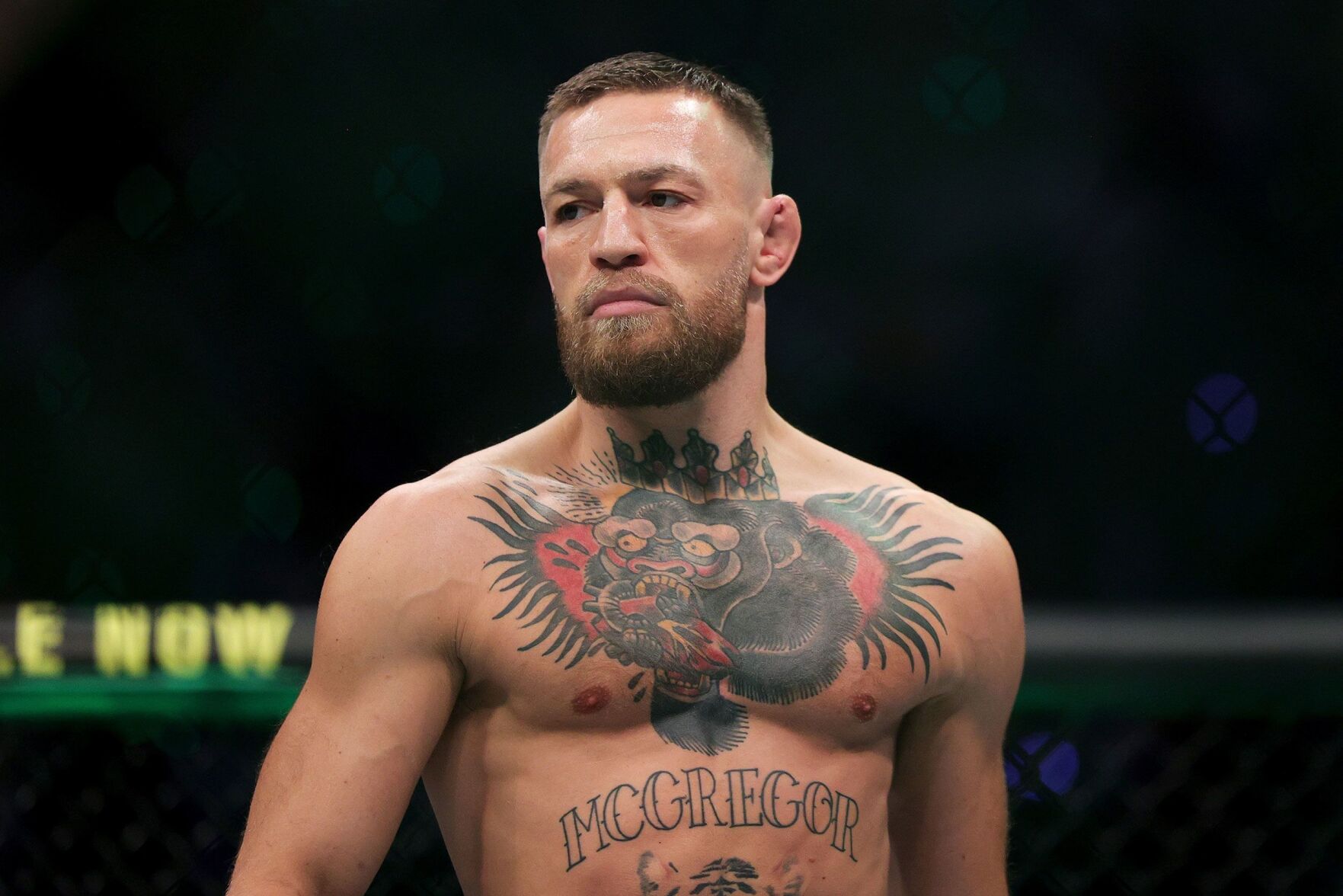 Favorite fighter tattoo fan gallery: Conor McGregor - MMA Underground