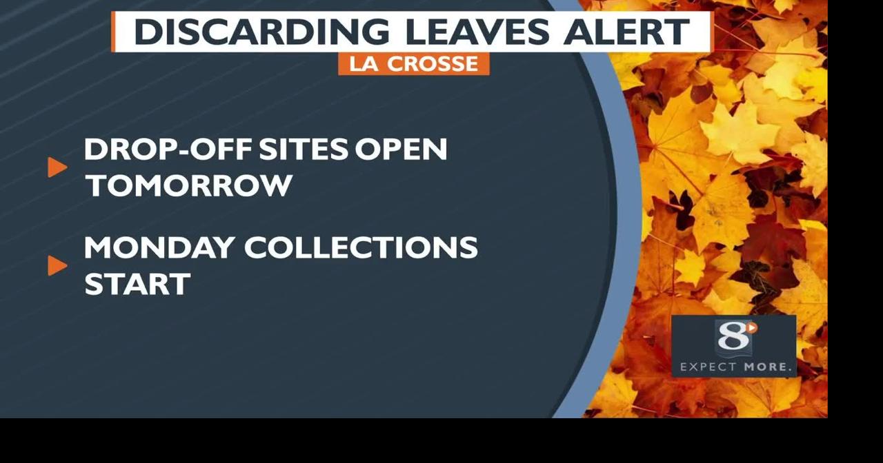 Discarding Leaves Alert News News8000