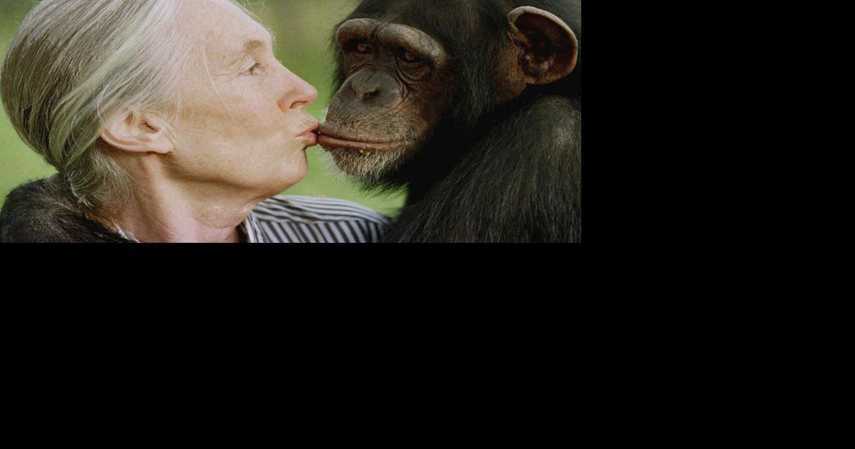Jane Goodall, renowned for chimpanzee research and environmental advocacy, has died at 91