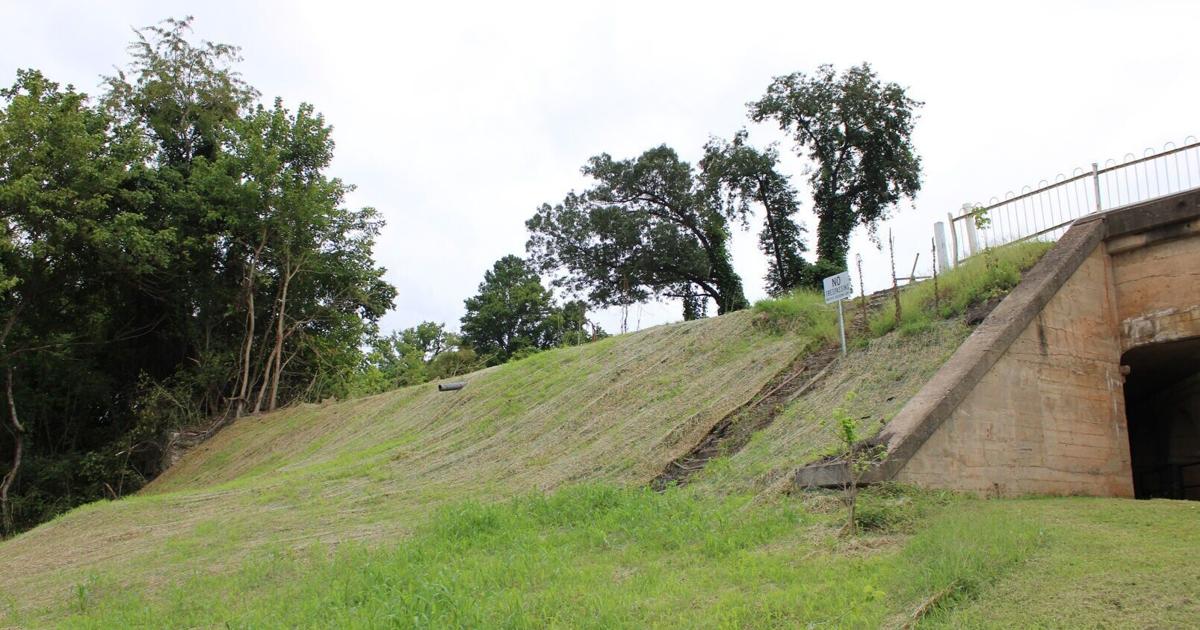 REIMAGINE CHATHAM As Reimagine Chatham projects advance, results soon will be visible CHARLES WILBORN Danville Register & Bee Sep 2, 2026 1 hr ago