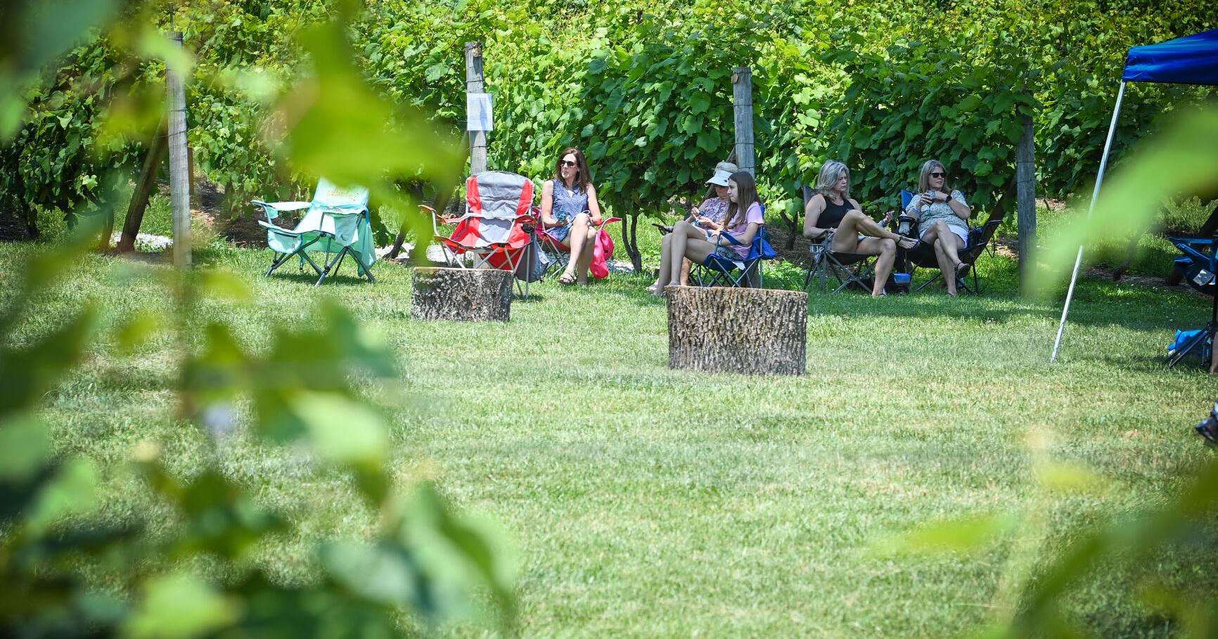 Fun in the sun at Watermelon Wine Festival - Vimarsana News