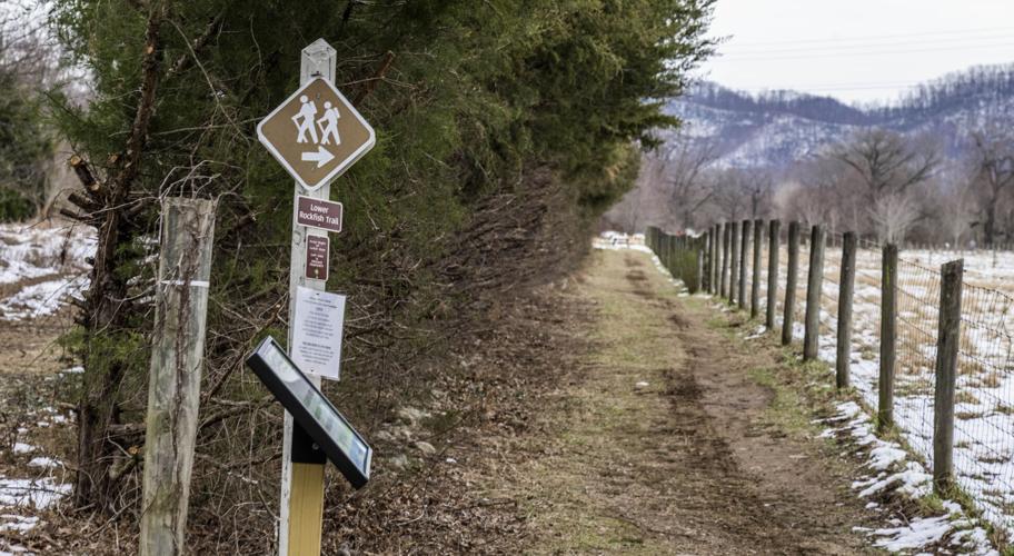 Story Trail. 1.JPG