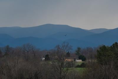 032026-lna-news-amherst