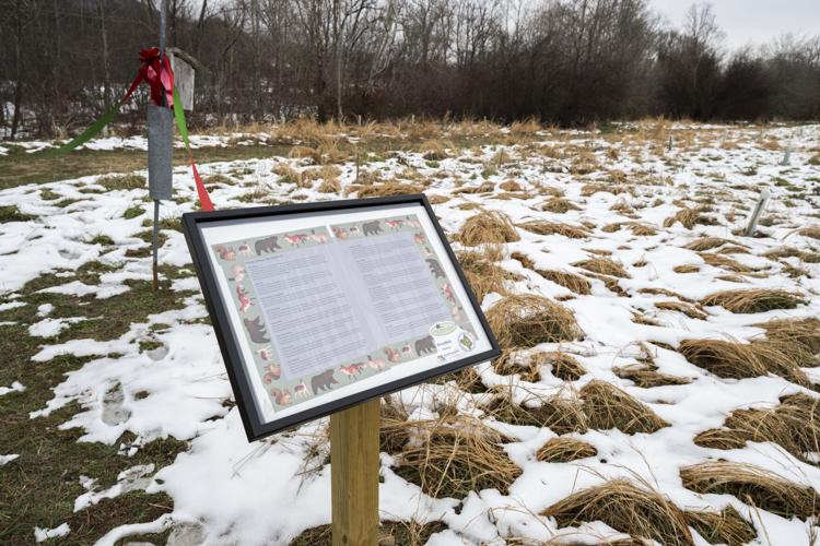 Story Trail. 2.JPG