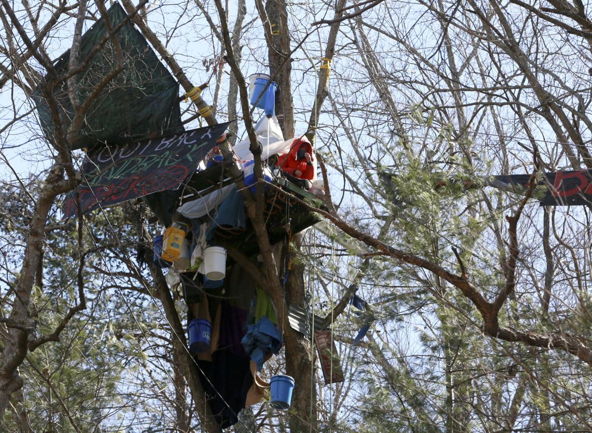 The 10 Best Tree Trimming Services in Roanoke, VA 2021