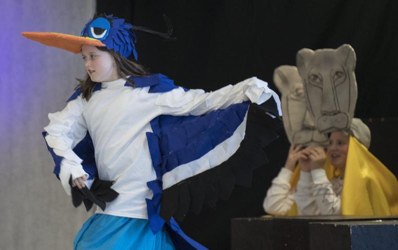 Rockfish River Elementary School prepares to perform first musical