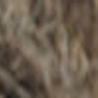 Strawberries Where To Pick Your Own In Central Virginia