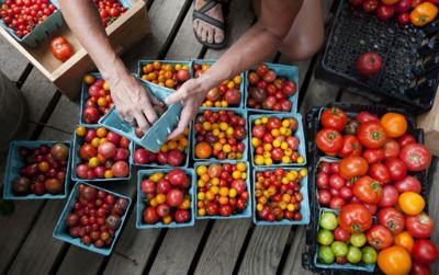 Locally Grown 11