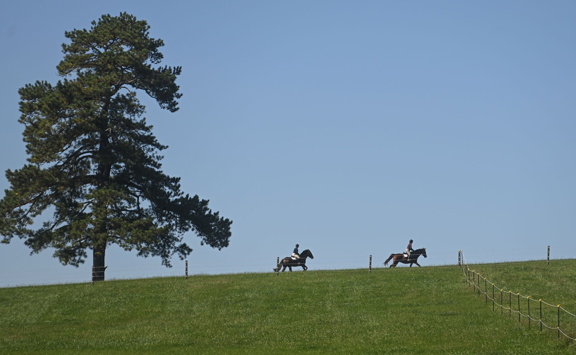 lone pine hill
