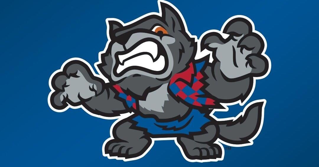 Vote now on Lynchburg Hillcats rebrand to Hill City Howlers