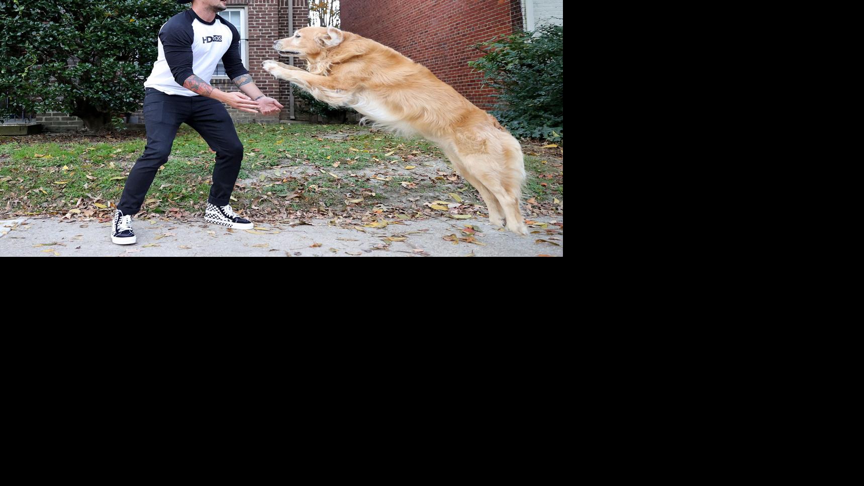 Watch now This Virginia dog went viral for how he greets his owner