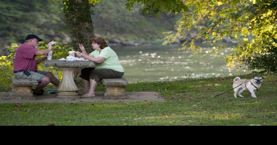 Altavista Town Council gets update on canoe launch, continues