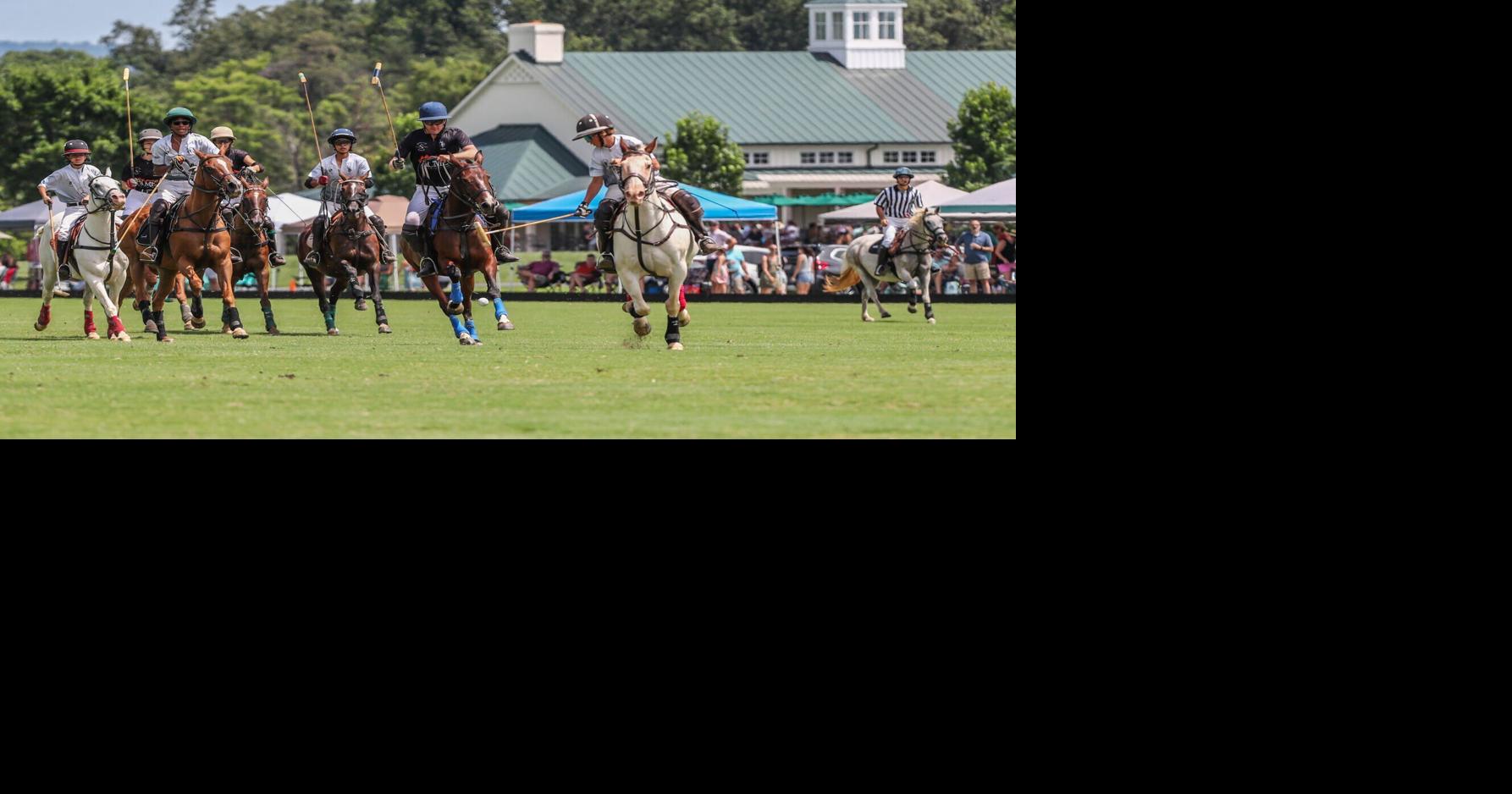 Virginia polo horse dies, sending rider to hospital