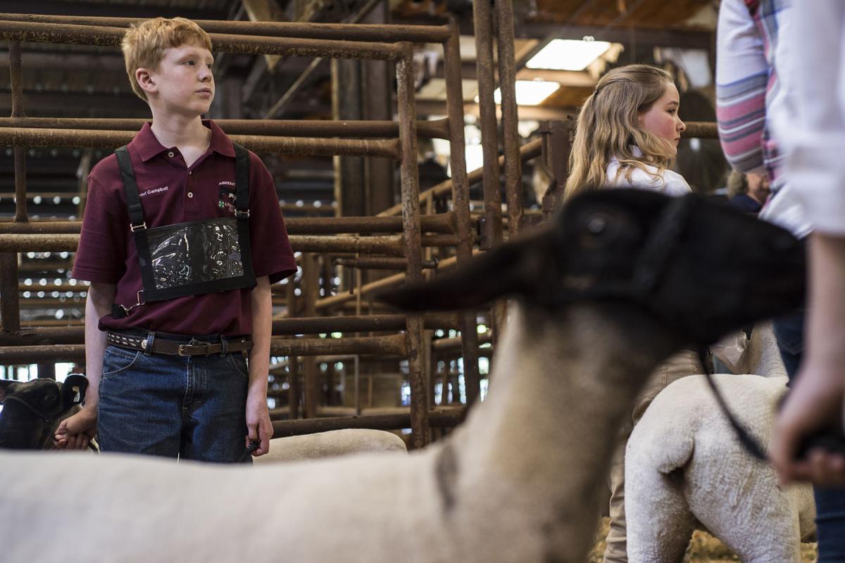 PHOTOS Central Virginia Livestock Show