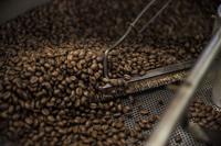 Rosetta Coffee Company