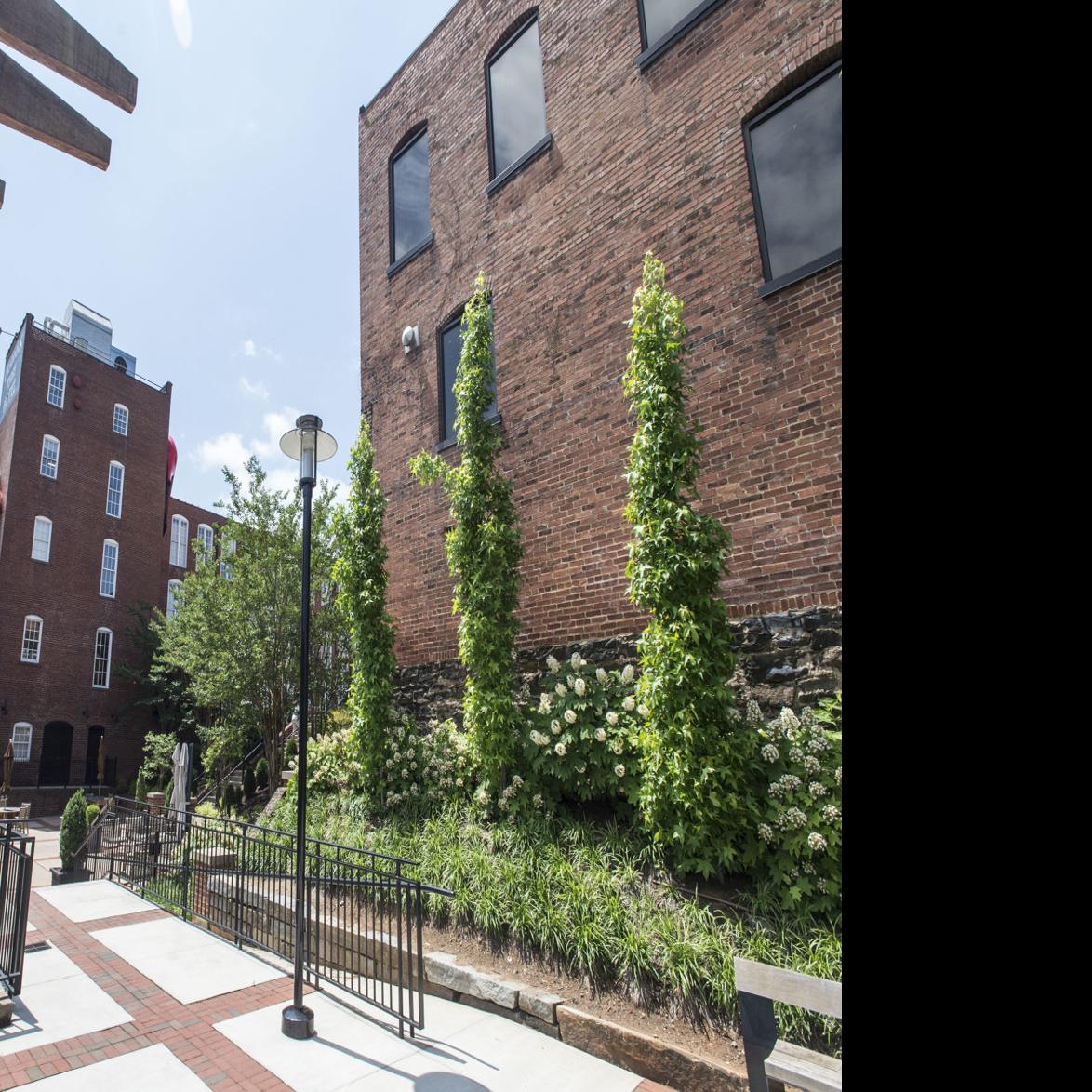 New Additions Planned For Bluffwalk Center Local News