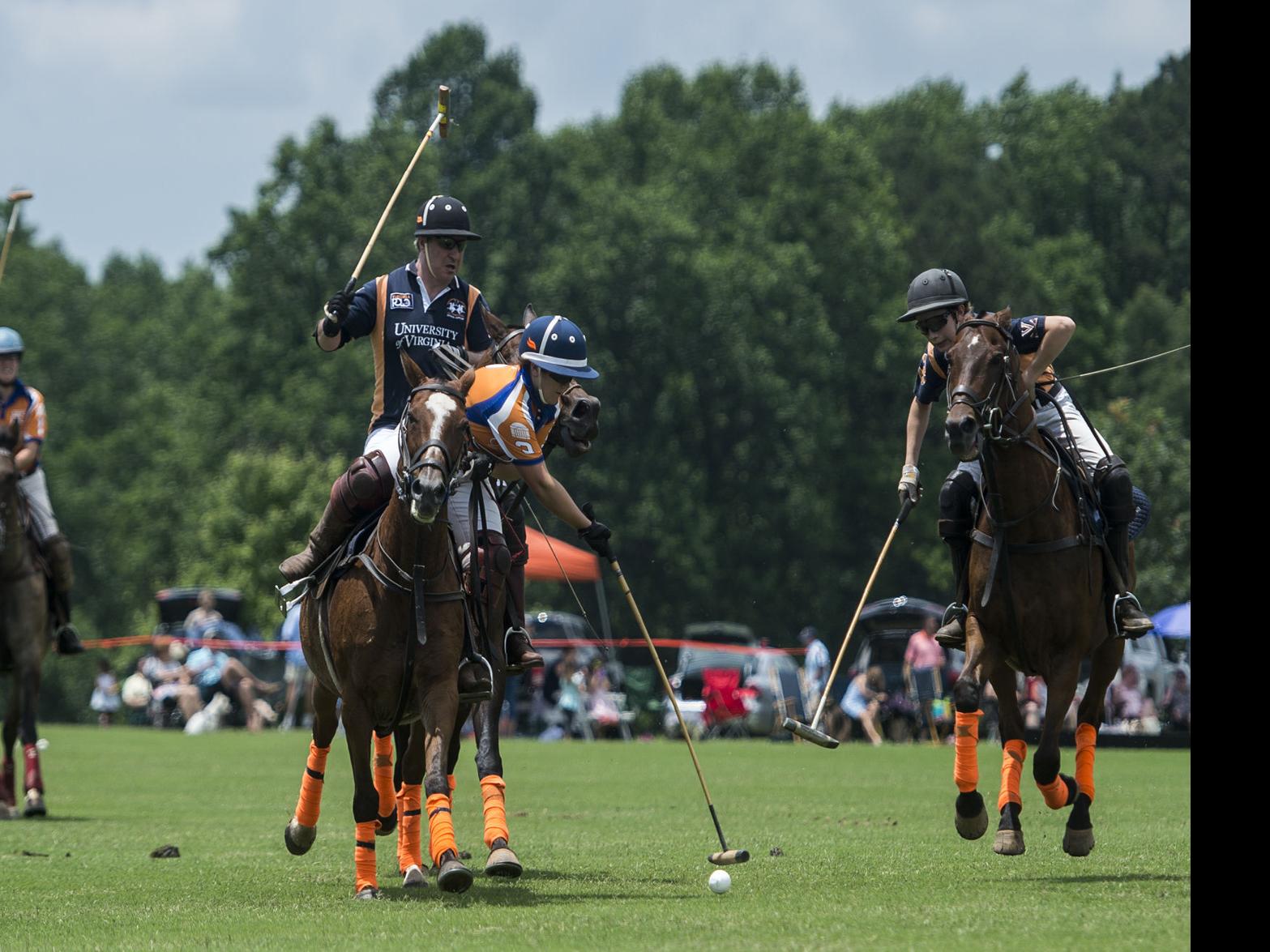 Crozet Vineyard A Hotspot For Polo Matches Local News Newsadvance Com