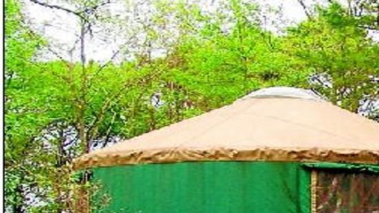 What The Heck Are We Doing Buying Yurts Mapping Newsadvance Com