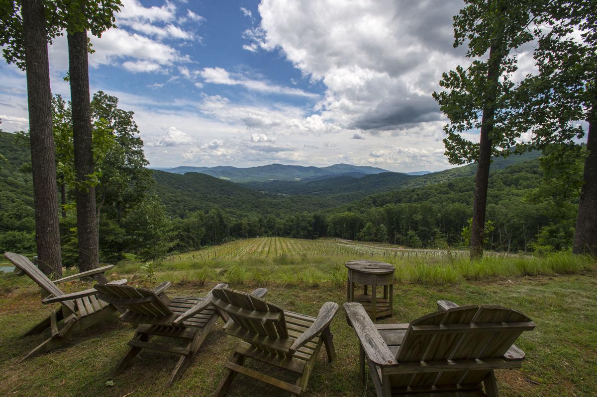 Hidden Gem Remote Amherst County Winery Brings Pinot Noir To New Heights Lynchburg Local News Newsadvance Com