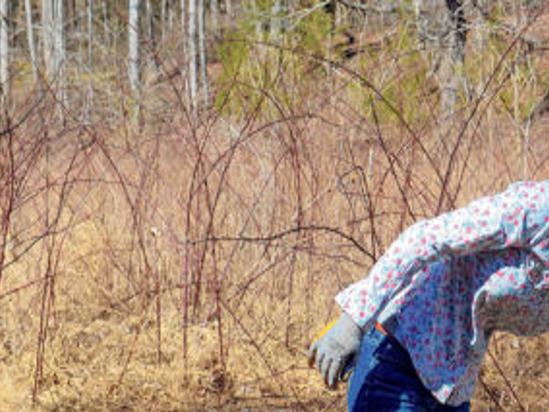 Animal Approved Roseland Farm Recognized For Humane Treatment Local News Newsadvance Com