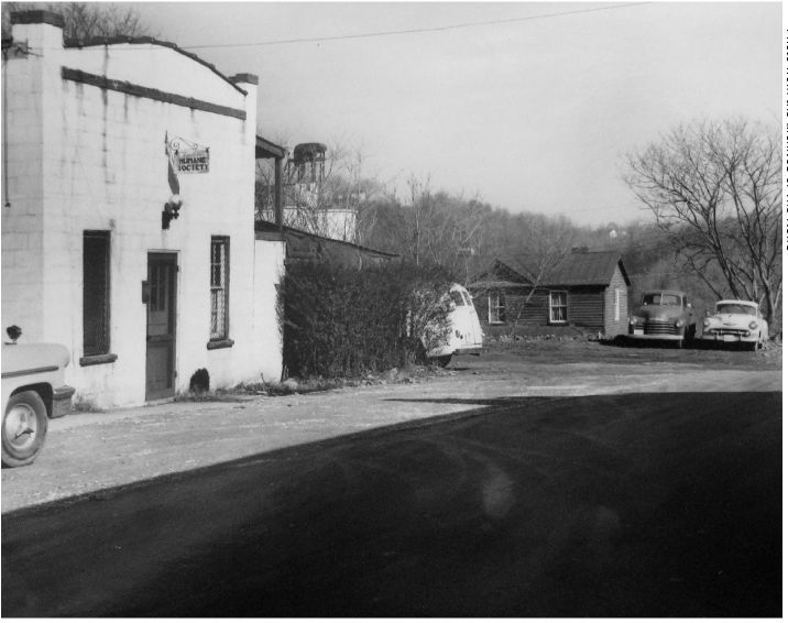1961 - Mystery Picture