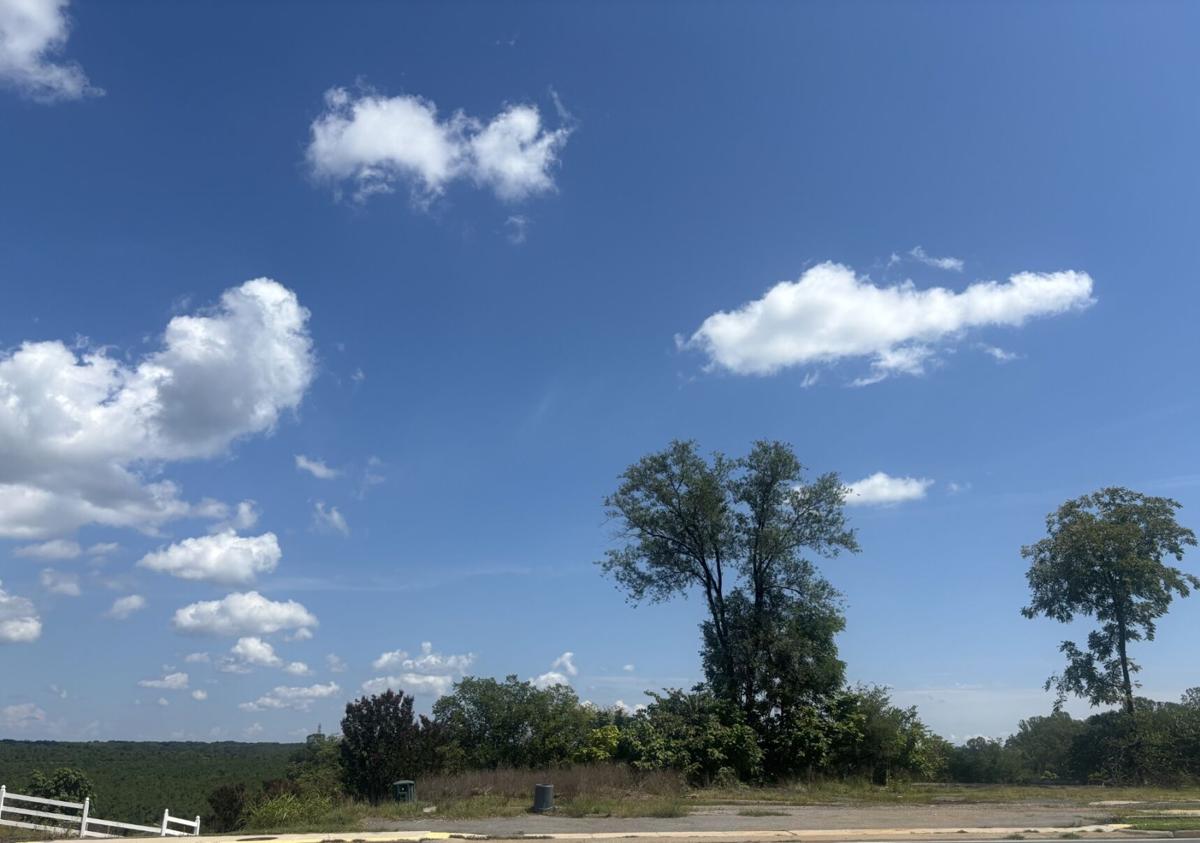 Madison Heights view