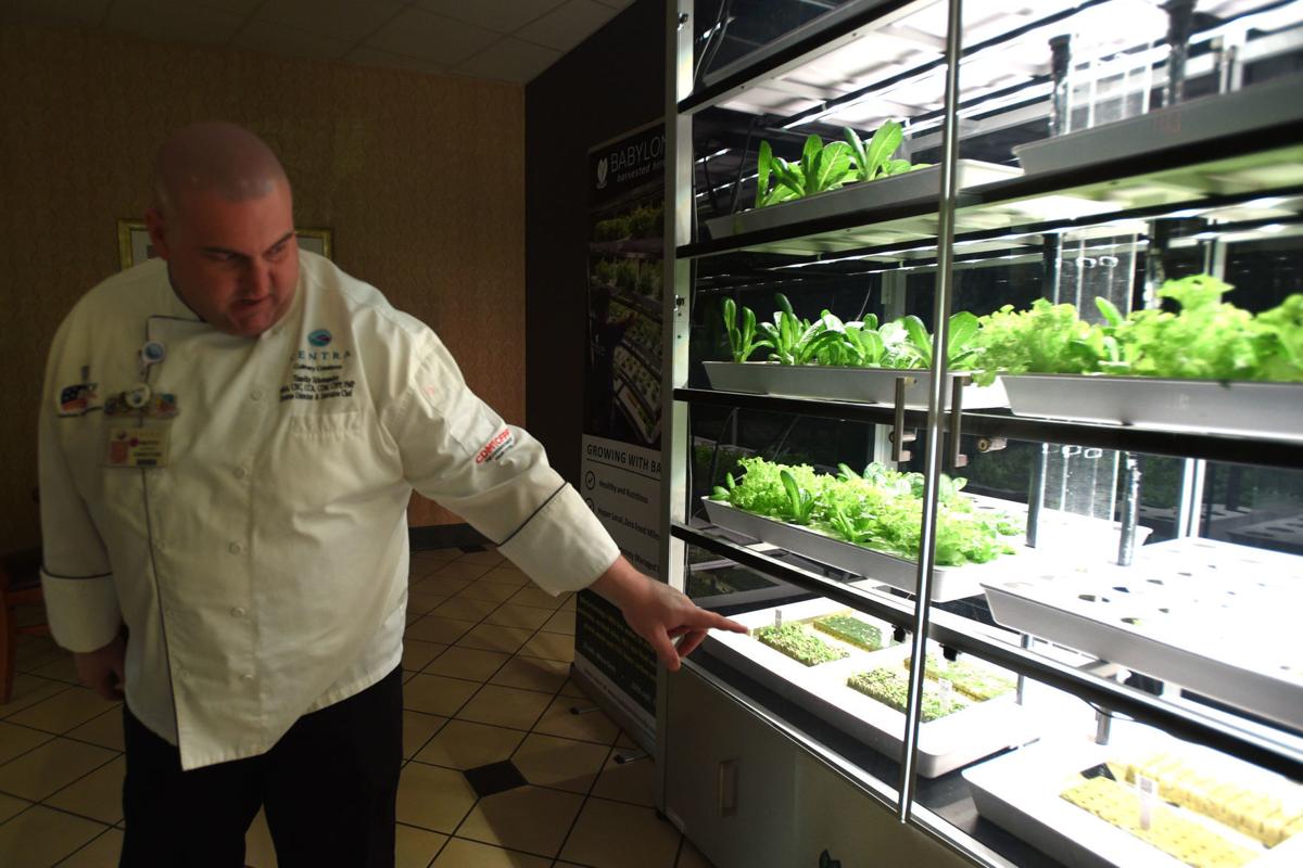 Micro Farms At Lynchburg General Producing Lettuce And Conversation Local News Newsadvance Com