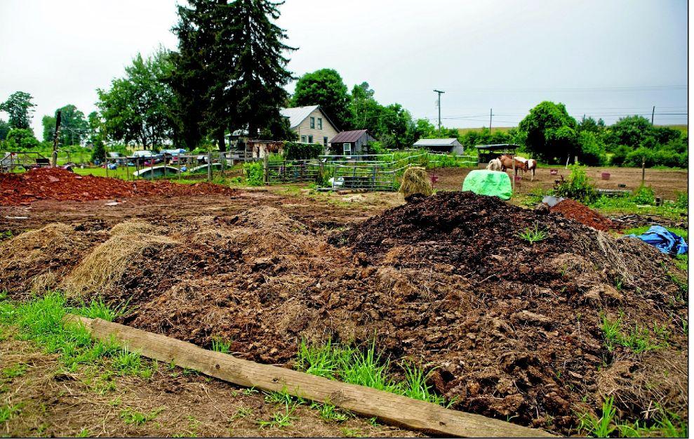 Horse Therapy Center Looks To Rebuild After Devastating Barn Fire From The Archives Newsadvance Com
