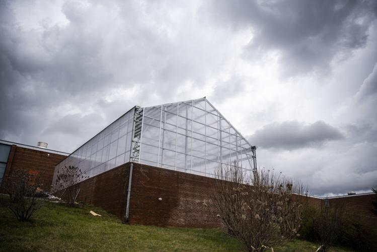 NCHS Greenhouse