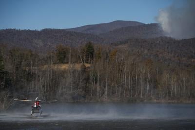 Forest Fire