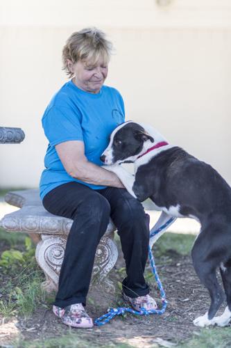 Eastern Iowa Animal Rehab Receives Dozens of Bra Donations